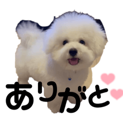 kotetsu_20220208231615