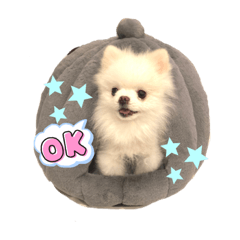 suzu_20220208221833