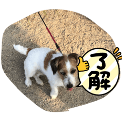 moriryu_20220208224333