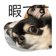 Smile_20220208202921