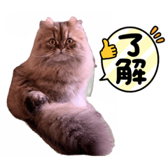 natsu_20220208204141