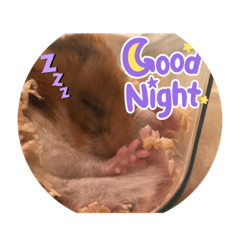 ohagi_20220208202503