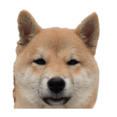 satsu_20220208202156