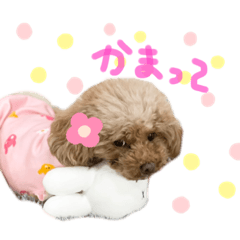 Natsumi_20220208191836