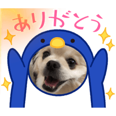 yurina_20220209121557