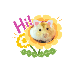 寵物的超萌生活
