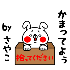 Zenryoku Sayako ver.Ai