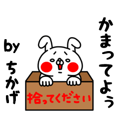 Zenryoku Chikage ver.Ai