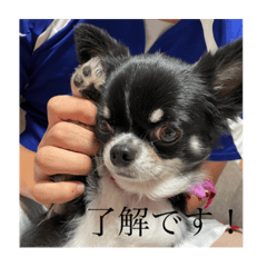 natsu_20220209141648