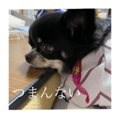 natsu_20220209141612