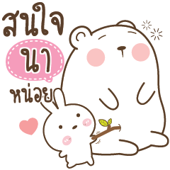 NA5 Little Rabbit bully Bear