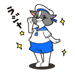 Sailor of the baby Border collie