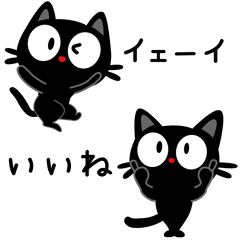 Black Cats chichi 2