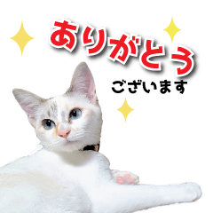 Otaru's daily conversation Sticker