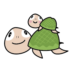 Turtles support
