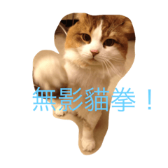 小咪