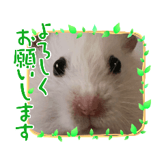 社長 Lineクリエイターズスタンプまとめ Stamplist 社長 Lineクリエイターズスタンプまとめ Stamplist