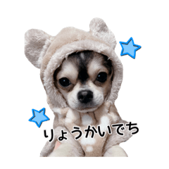 qzvkq_20220209154840