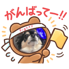 Junko_20220209154410