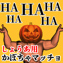 Shoua Pumpkin macho