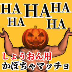 Shouon Pumpkin macho