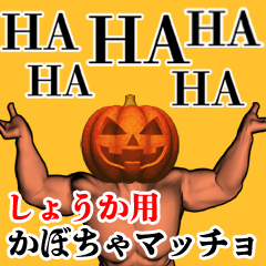 Shouka Pumpkin macho