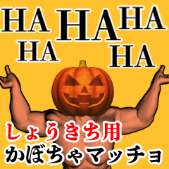 Shoukichi Pumpkin macho