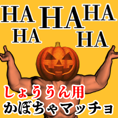 Shouun Pumpkin macho