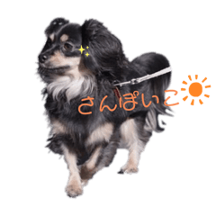 yayoi_20220209122334