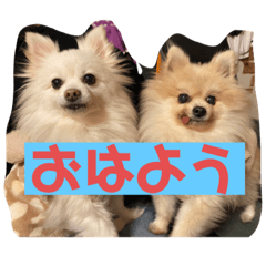 Sayuri_20220209170317