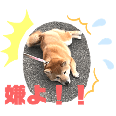 memepopomilk with mokacoco