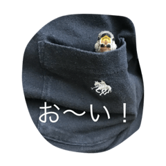 S-and-P