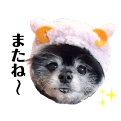 YUKA_20220210003942