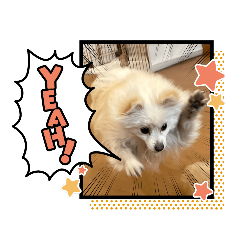 Ren-Kun_20220210054246