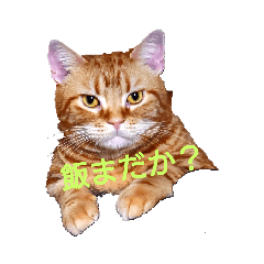 satoshi_20220210050804