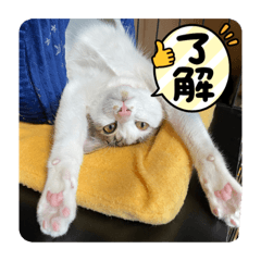 aoi_20220209171545