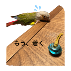 Will asano
