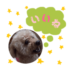 coronkunstanp