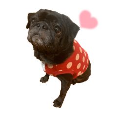 mizuki_20220210011523