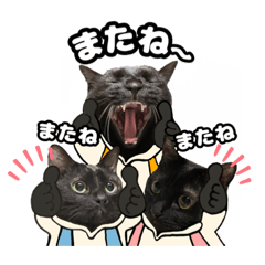 michiko_20220209164141