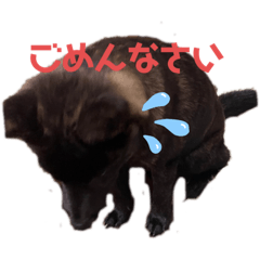 Ayumi_20220209183932