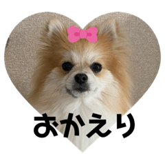 natsumi_20220210105025