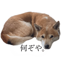 chisa_20220209200241