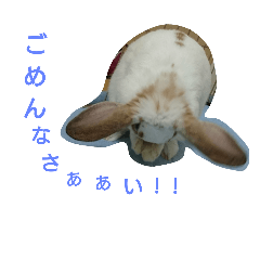 chikuwano