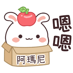 嬌嬌兔姓名貼_阿瑪尼專用
