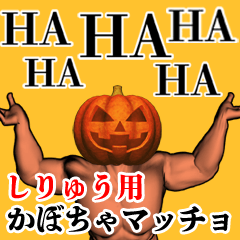 Shiryuu Pumpkin macho