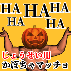 Jousei Pumpkin macho