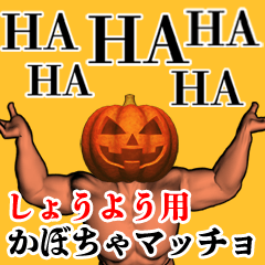 Shouyou Pumpkin macho