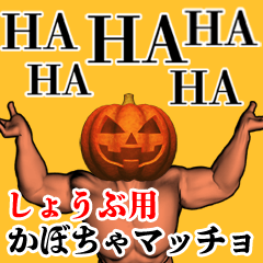 Shoubu Pumpkin macho