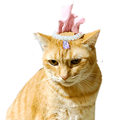 碰派芽的瘋狂派對